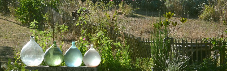 Dans le jardin d'Agnès Clairand