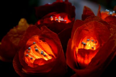 Guirlande lumineuse réalisée en papier népalais représentant des fleurs, réalisée par Agnès Clairand