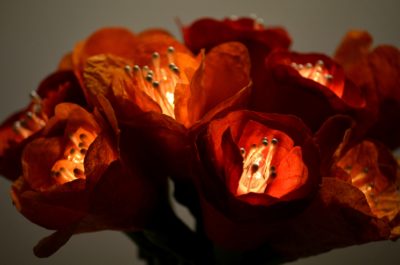 Guirlande lumineuse en papiers népalais, réalisée par Agnès Clairand