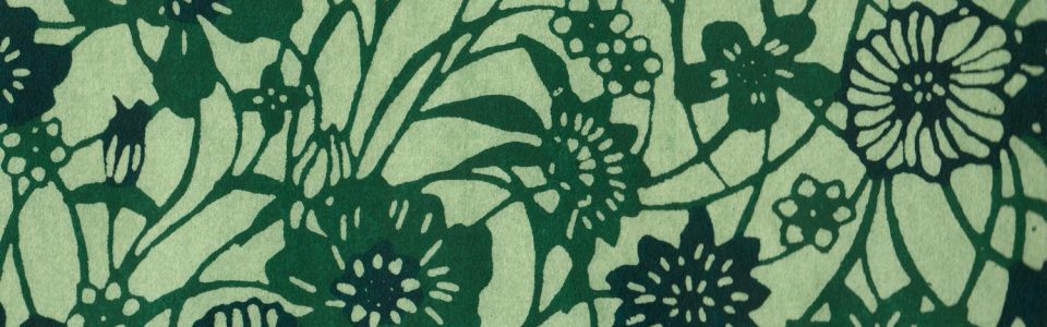 papier japonais katazome-shi vert