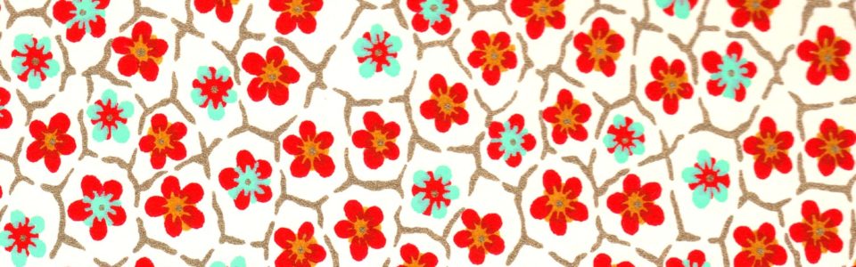 Papier japonais haut de gamme luxe
