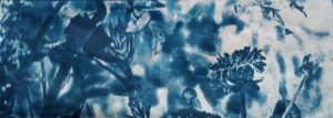 cyanotype agnes clairand